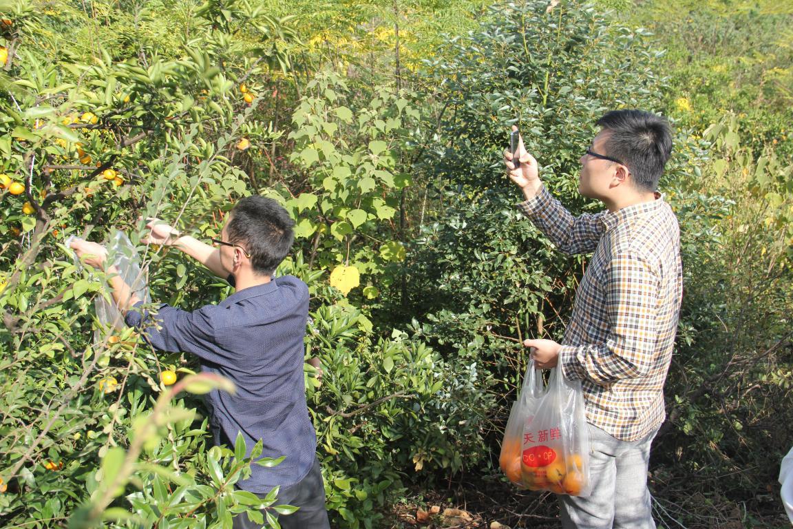 CA88(中国区)唯一官方网站