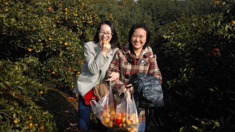 CA88(中国区)唯一官方网站